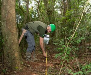 Foto: Sara Cheida/Itaipu Binacional