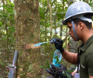 Foto: Sara Cheida/Itaipu Binacional