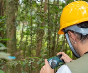 Foto: Sara Cheida/Itaipu Binacional
