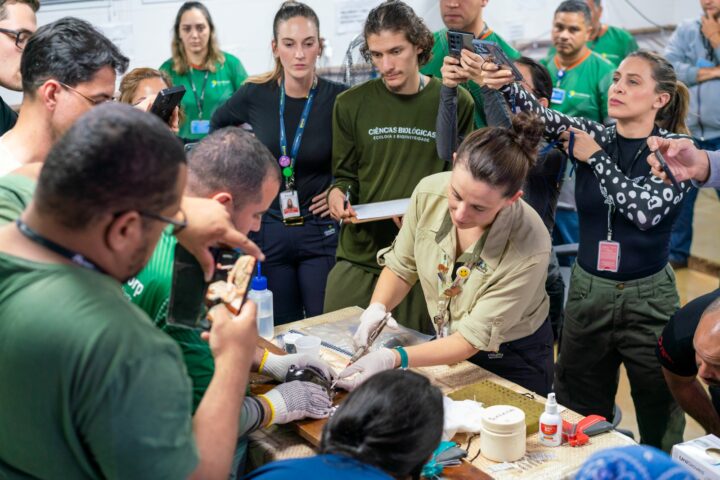 Foto: Alexandre Marchetti/Itaipu Binacional