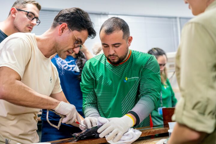Foto: Alexandre Marchetti/Itaipu Binacional