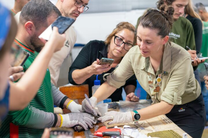 Caroline Henn, bióloga da Divisão de Reservatório da Itaipu, mostra como implantar o microchips | Foto: Alexandre Marchetti/Itaipu Binacional