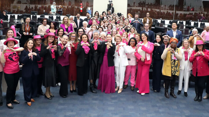 Solenidade ocorreu na manhã desta quinta-feira, no Plenário da Casa Z Foto: Orlando Kissner/Alep