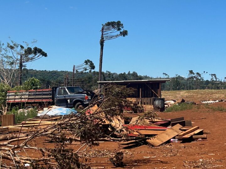 Espaço onde ficava a casa da família Hoffmann | Foto: Fabiane Ariello/Itaipu Binacional
