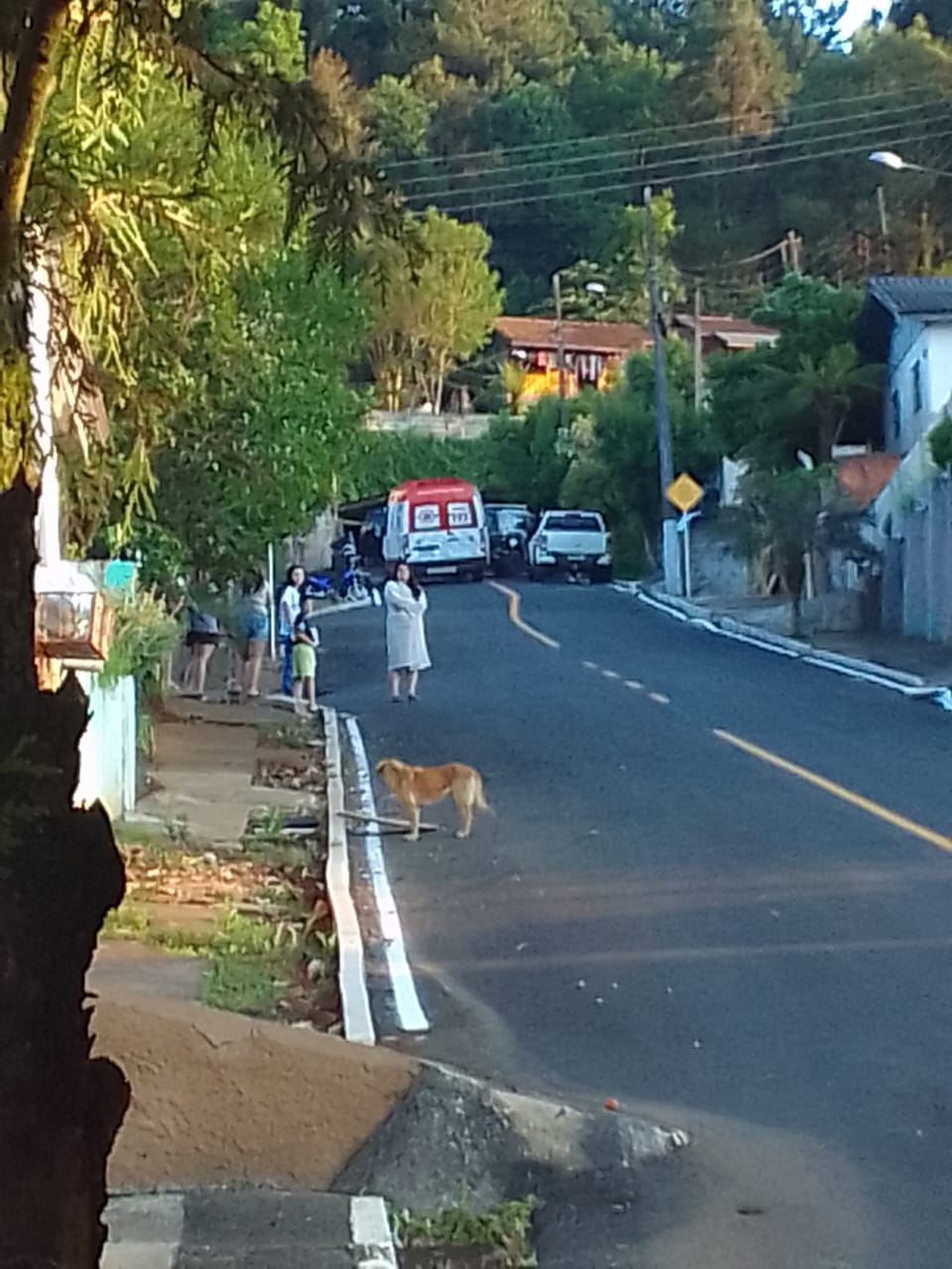 Operação Sinergia: quatro mortos em ação contra o crime organizado 