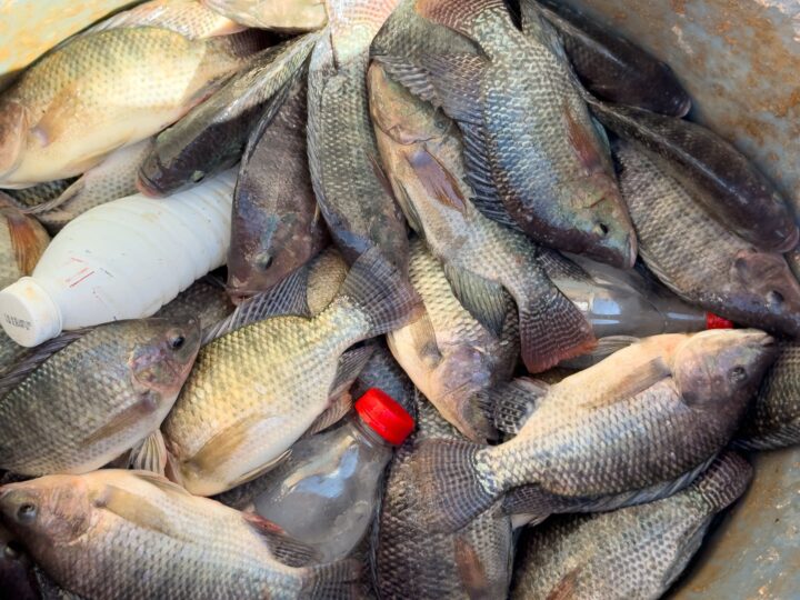 Foto: Fabio Conterno/FLD