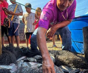 Foto: Fabio Conterno/FLD