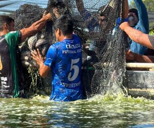 Foto: Fabio Conterno/FLD