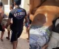 Jovem de 13 anos morre apÃ³s ser atacado por tubarÃ£o em Olinda