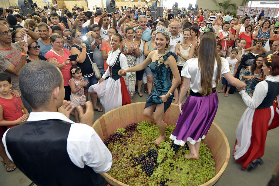 As maiores festas do vinho do Brasil: veja onde acontecem