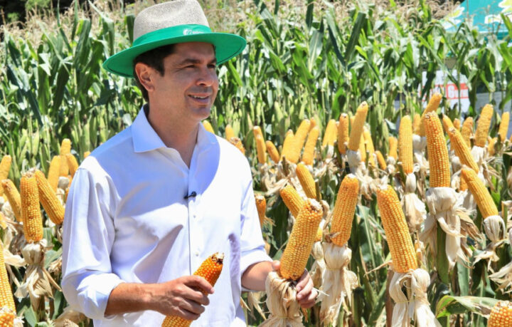 Deputado Alexandre Curi (PSD), presidente da Assembleia Legislativa do Paraná | Foto: Rogério Machado/Alep
