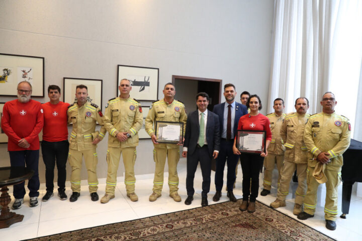 Homenagens foram entregues durante as sessões plenárias de terça-feira | Foto: Orlando Kissner/Alep