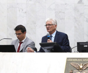 AudiÃªncia PÃºblica ocorreu na tarde desta terÃ§a-feira (24), no PlenÃ¡rio da Casa | Foto: Orlando Kissner/Alep