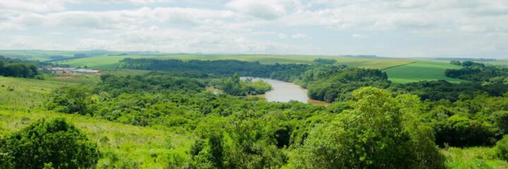 Foto: Divulgação/FAEP SENAR