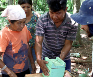 Investimentos em assistência técnica rural para meliponicultura, agricultura e distribuição de peixes nas aldeias do Paraná e Mato Grosso do Sul| | Foto: Divulgação Opaná/Itaipu Binacional