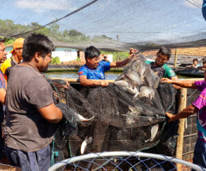 Foto: Divulgação Opaná/Itaipu Binacional