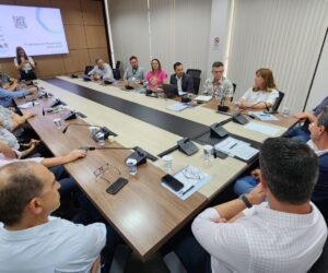 Foto: Sistema Ocepar