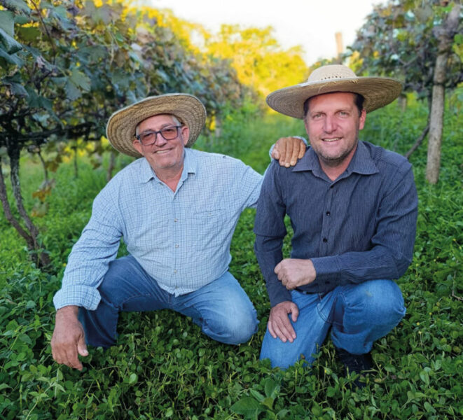 José e Gilmar Brizola entre a plantação de uvas | Foto: Divulgação/FAEP SENAR