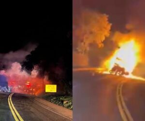Motorista morre carbonizado em acidente na BR-277 no ParanÃ¡