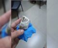Professora encontra maconha em mochila de bebÃª no ParanÃ¡