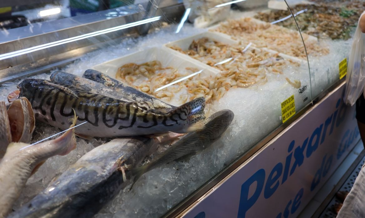 Guia rápido: cuidados ao comprar pescado na Semana Santa