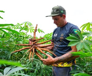 Foto: DivulgaÃ§Ã£o/FAEP SENAR