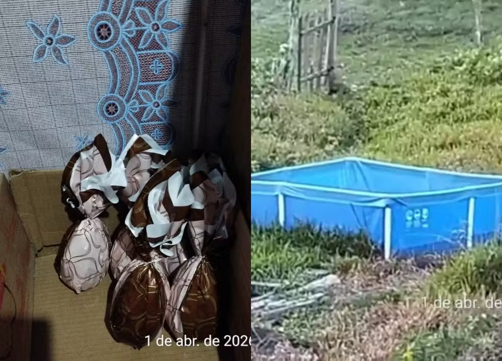 Ovos de Páscoa eram isca de homem acusado de exploração sexual em SC