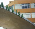 Anvisa determina recolhimento de lote de dipirona; saiba qual