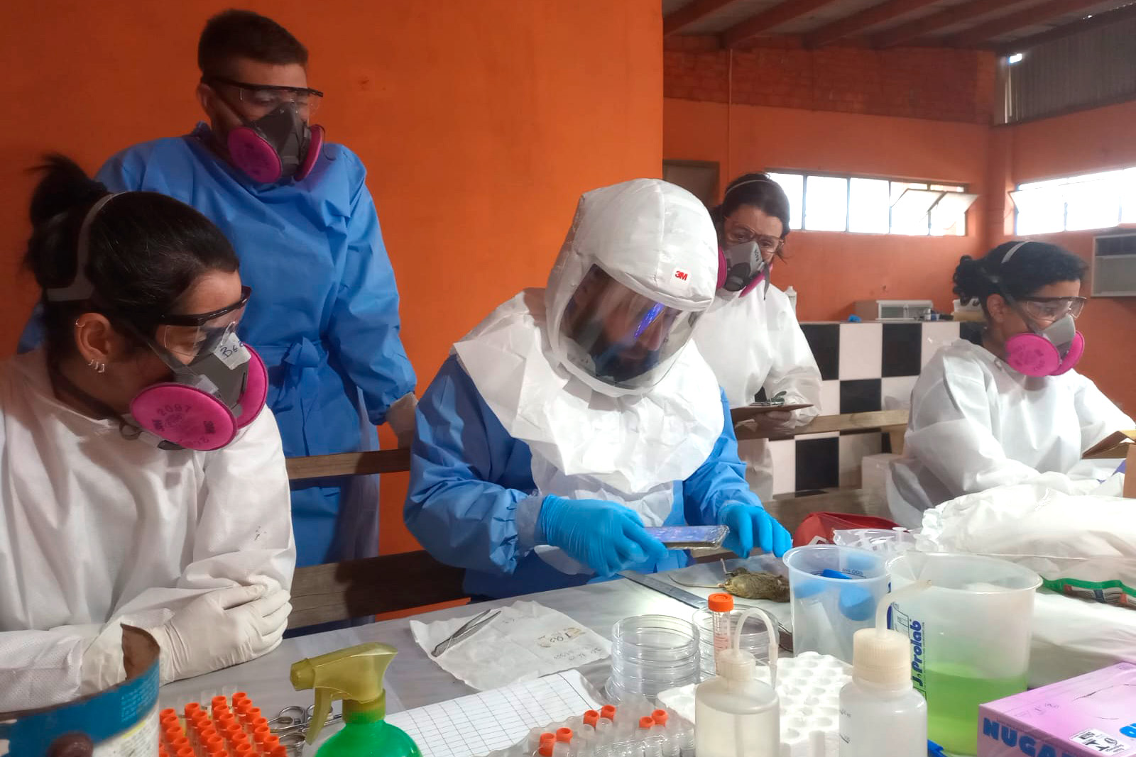 Paraná tem raros casos de hantavirose, mas mantém vigilância após alerta mundial