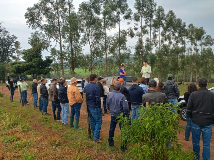 Foto: Divulgação/FAEP SENAR
