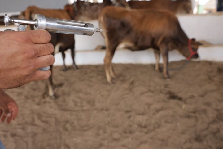 Foto: Divulgação/FAEP SENAR