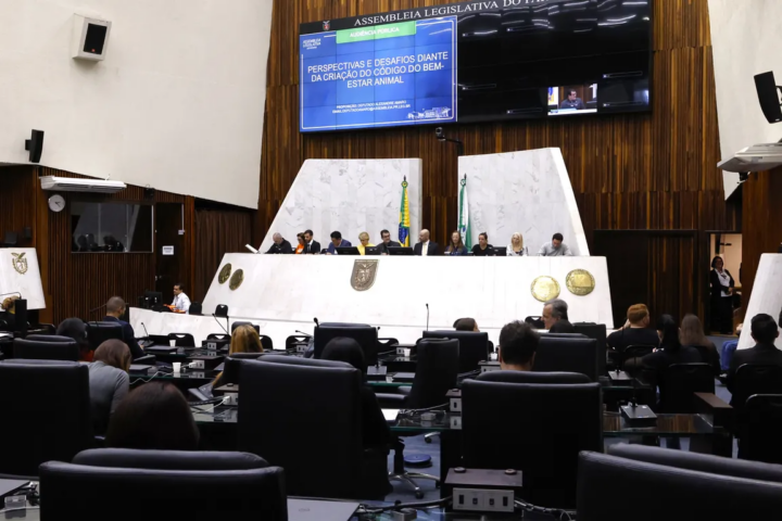Audiência ocorreu no Plenário da Casa na tarde de sexta-feira | Foto: Valdir Amaral/Alep